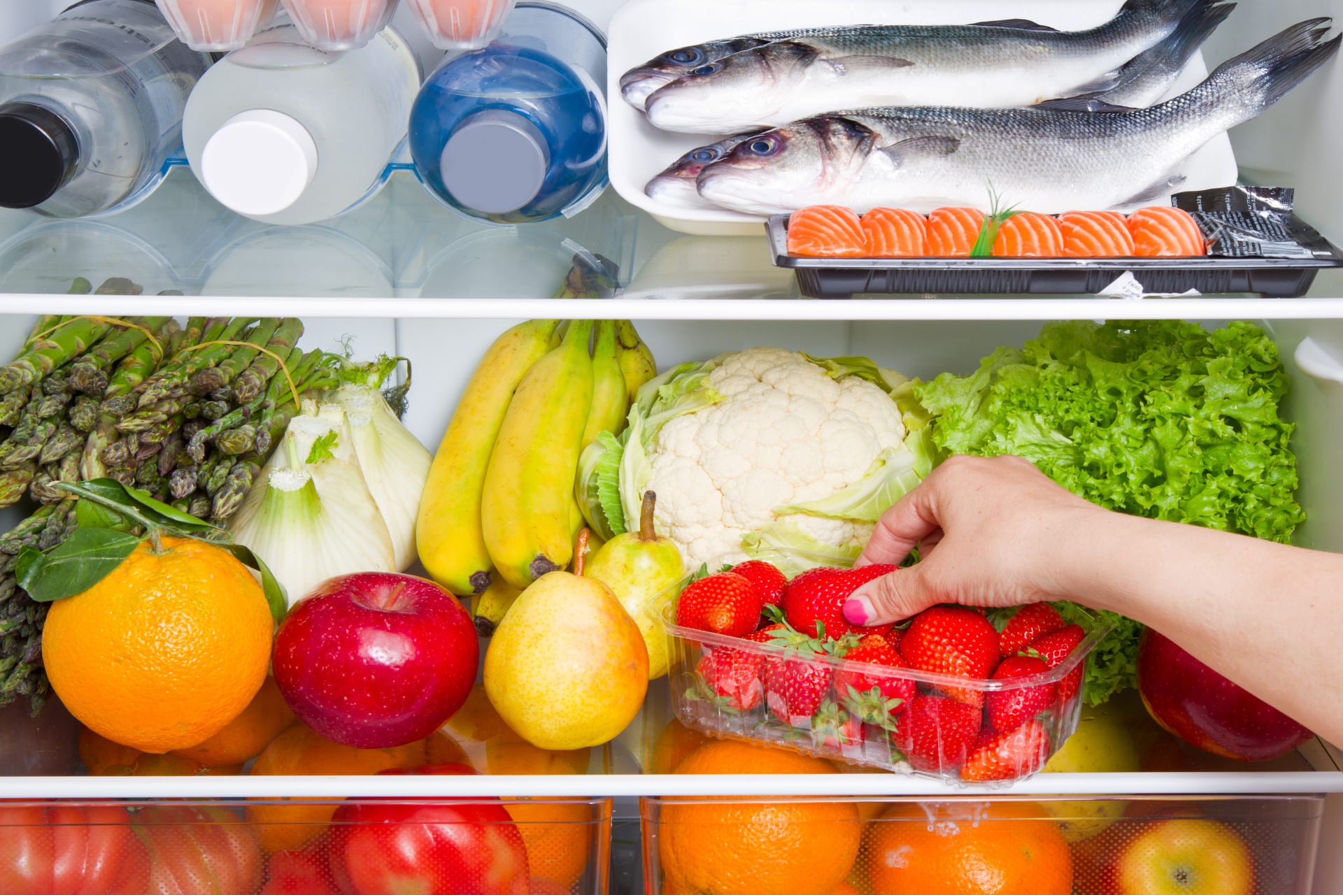 Le frigo d’Alpha