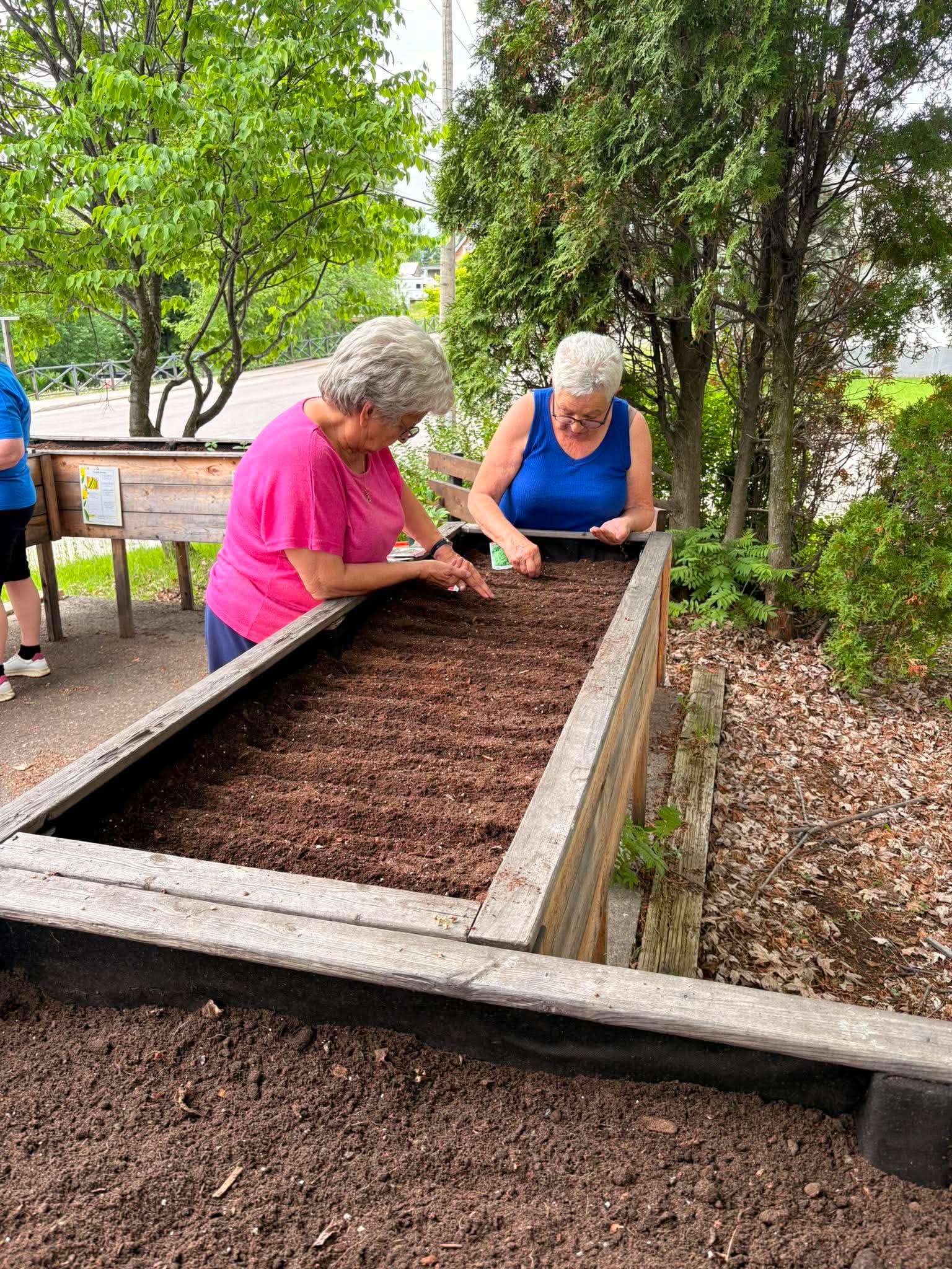 Le jardin des générations